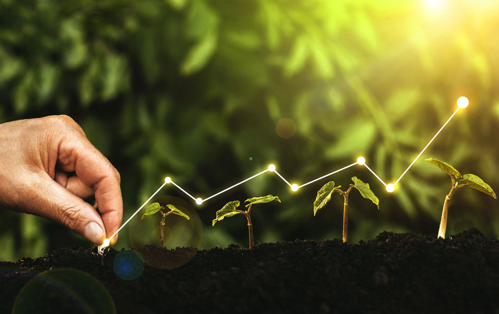 AGRIBUSINESS
