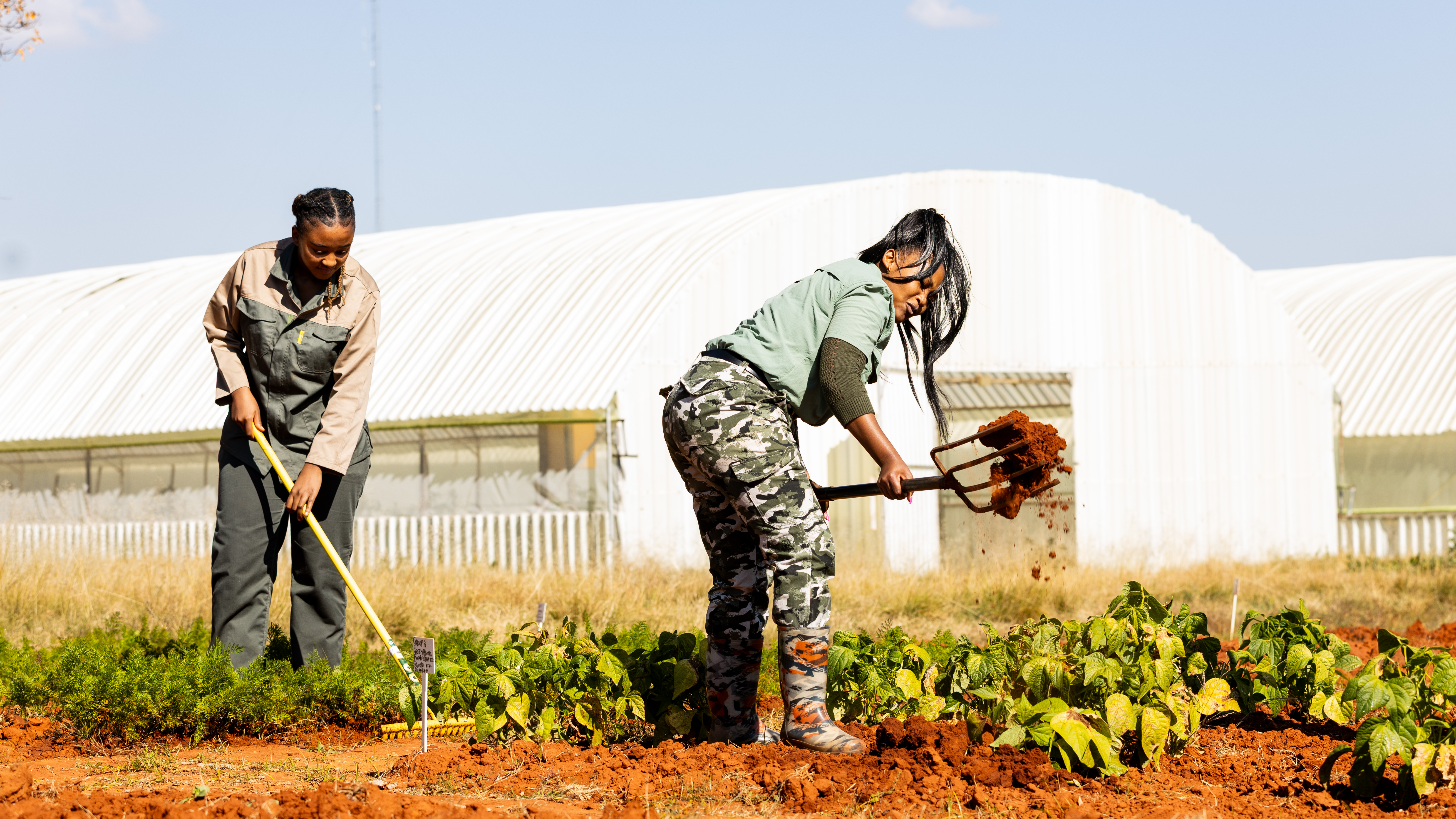 AGRIBUSINESS